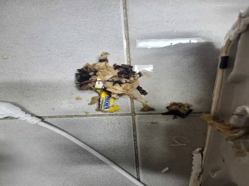 양주 배관 이물질 제거 사례 4